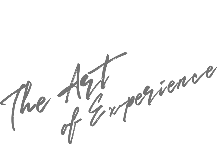 the-arts-of-experience